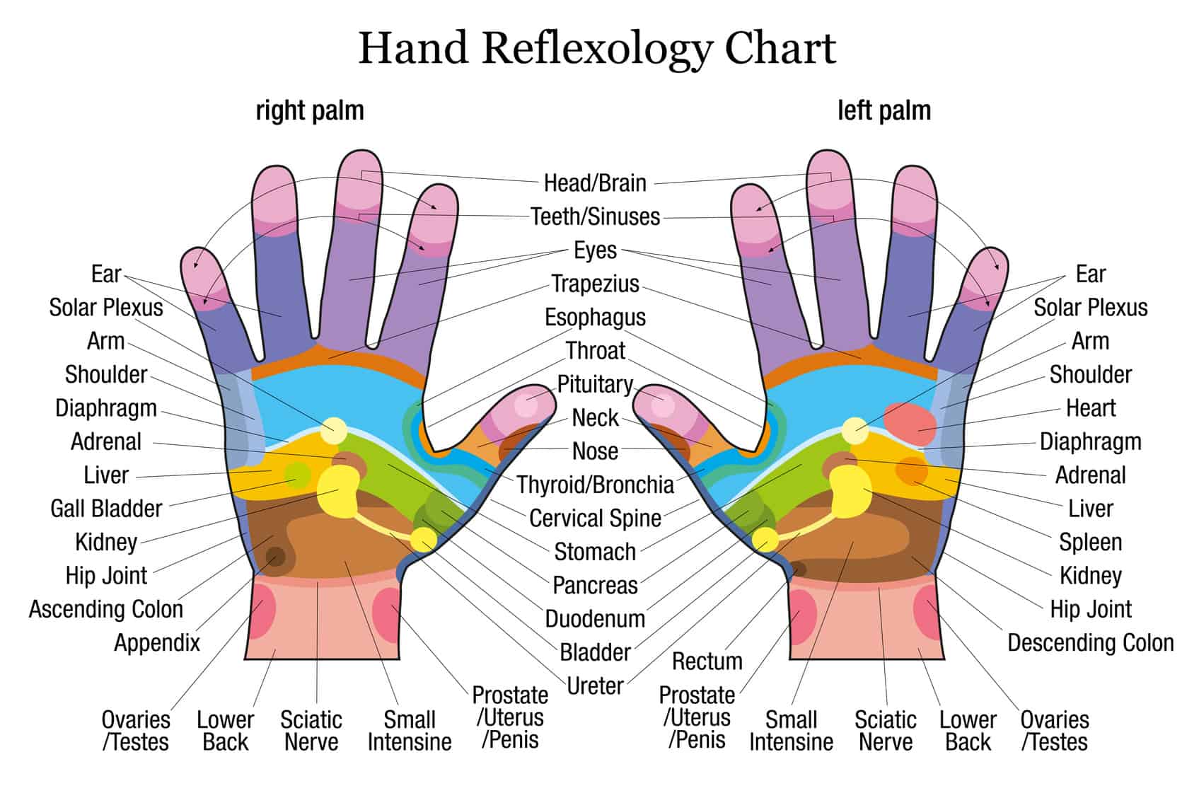 Acupressure Points for Numbness in Hands - TCM Simple